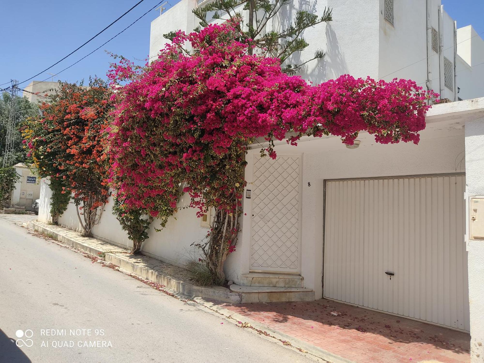 Etage De Villa Avec Jardin, Pres De L'Aireport Et Parking Prive Ariana Exterior photo